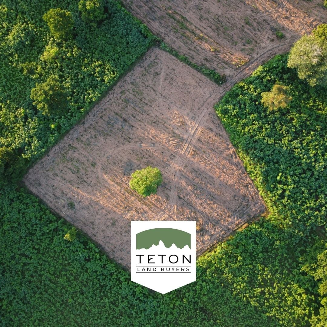 Aerial view of a cleared parcel surrounded by trees