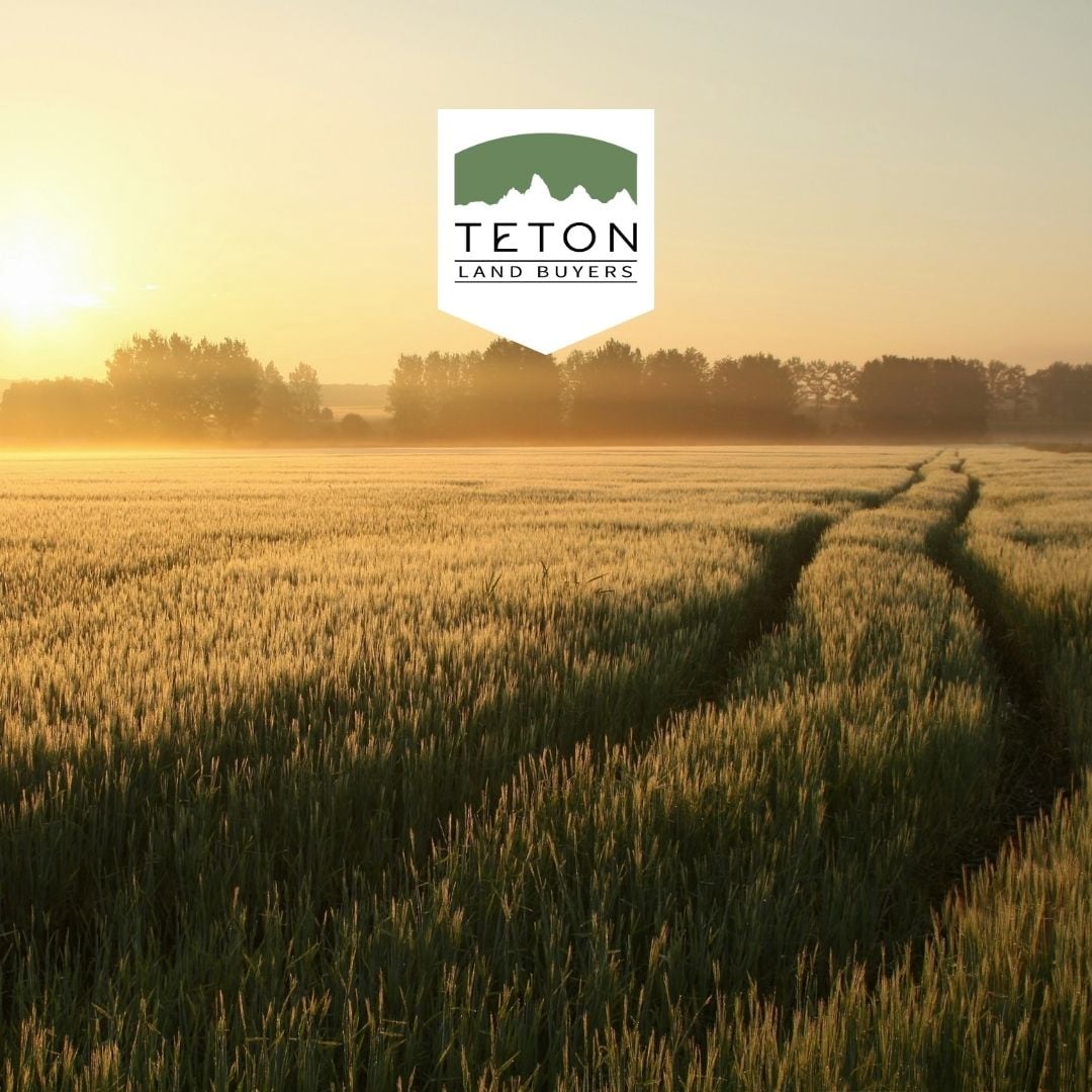Teton Land Buyers badge over a wheat field at sunrise