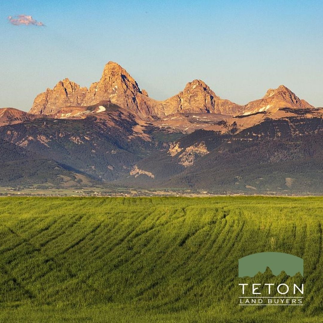 The Teton range rising above green farmland